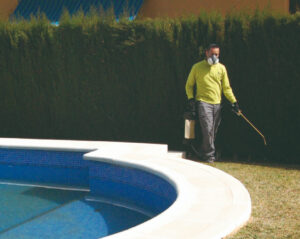 control-de-plagas-en-piscina